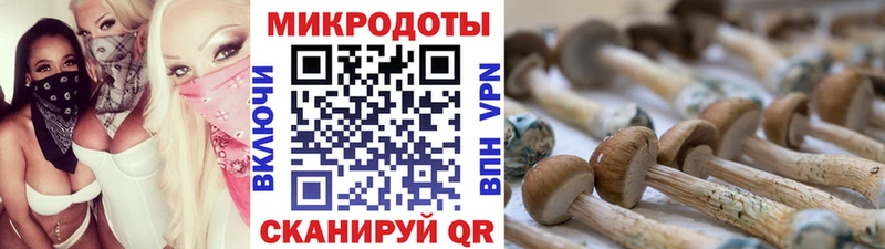 Галлюциногенные грибы GOLDEN TEACHER  даркнет сайт  Клин 